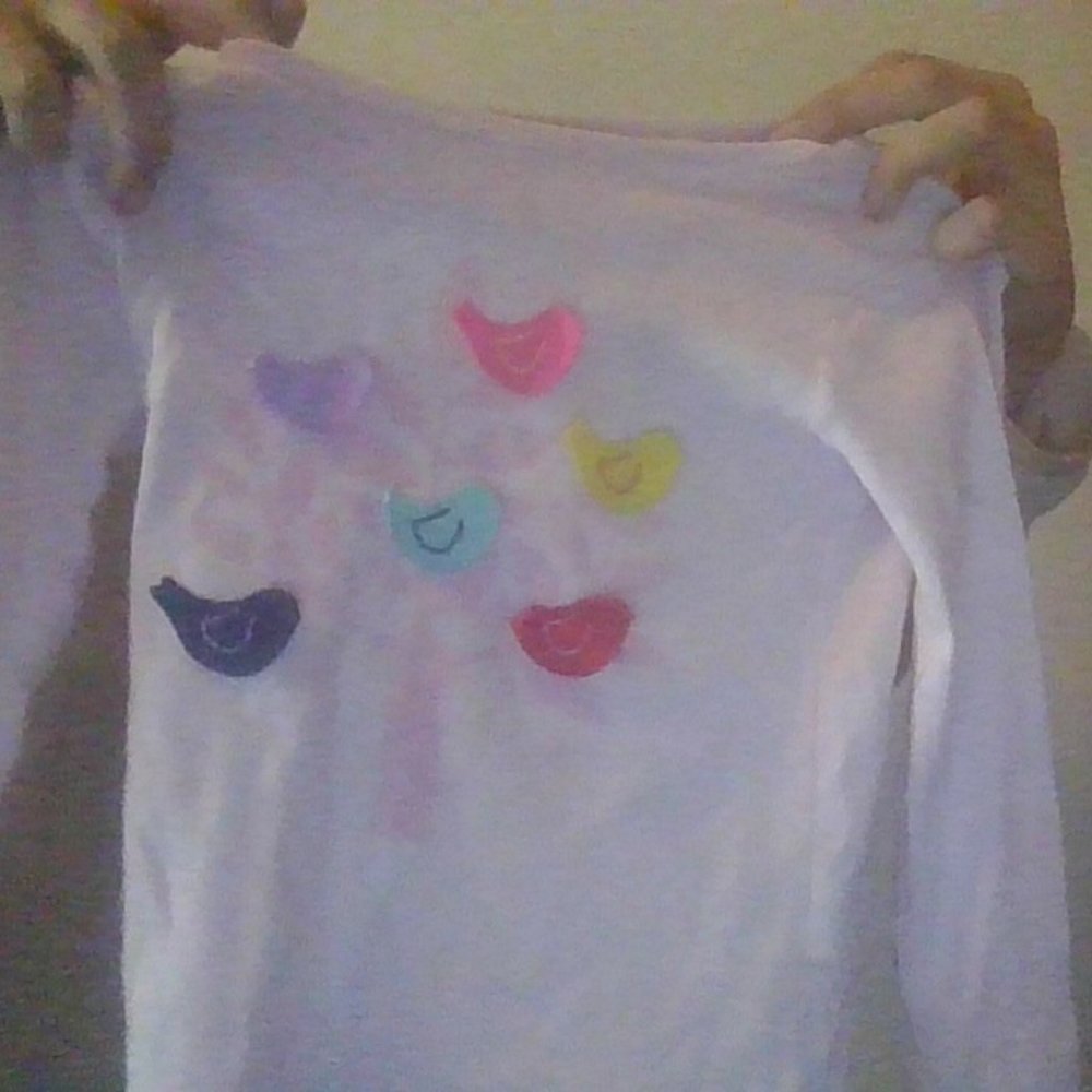 Carter's kids pastel stitched bird shirt.